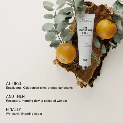 The Starter Set - SC.01 ORANGE GROVE